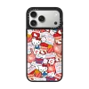 Hello Kitty Sticker Case