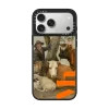 镜面 The Bull Case