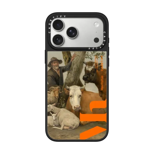 镜面 The Bull Case