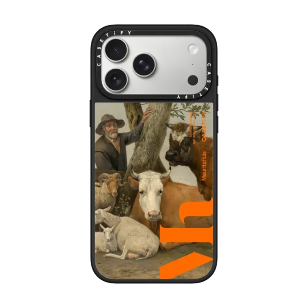 镜面 The Bull Case