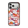 Hello Kitty Sticker Case