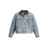 Stussy×Levi's デニムジャケット 刺繍徽章 グレーブルー